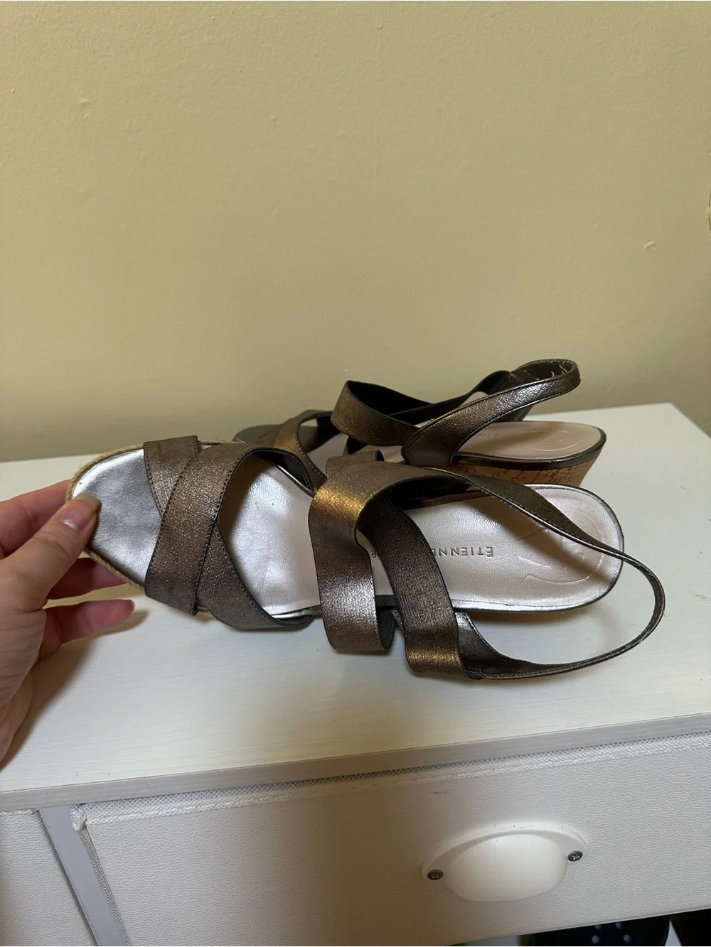 Metallic Etienne Aigner Wedge Sandals for Women